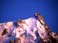 chamonix-aiguille1.jpg